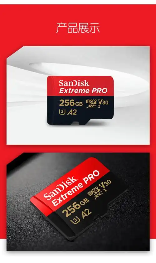SD Card Formatter