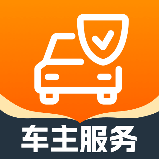 出行好安车主