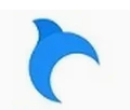billfish